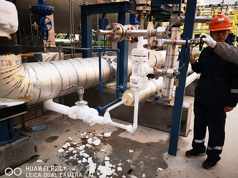 Shanghai Yangshan Port LNG terminal